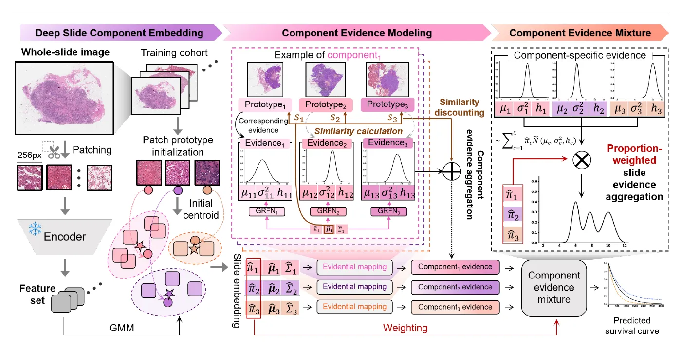 Overview of the DPsurv framework: Deep Slide Component Embedding encodes the whole-slide image into tissue components via patch prototypes; Component Evidence Modeling maps each component to survival evidence using Gaussian Random Fuzzy Numbers; and Component Evidence Mixture aggregates this into an uncertainty-aware survival curve with belief and plausibility bounds.
