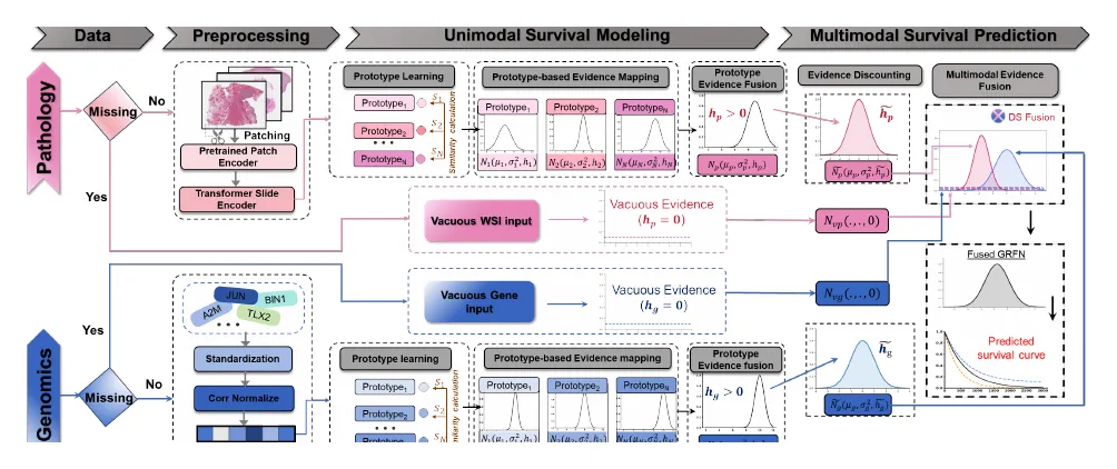 Overview of the EMMS framework: the pathology and genomics branches each produce survival evidence as a Gaussian Random Fuzzy Number; a missing modality is encoded as vacuous evidence (epistemic strength = 0); the two are combined via Dempster–Shafer fusion to yield a calibrated, uncertainty-aware survival prediction.