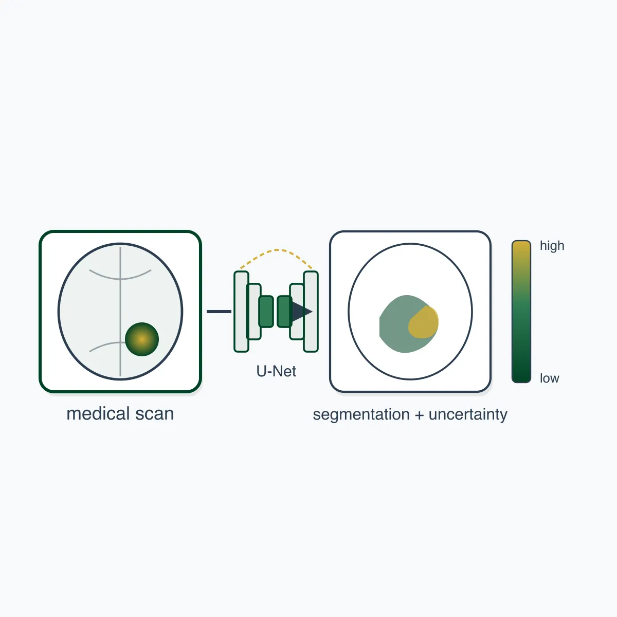 Uncertainty Quantification in Medical Image Analysis