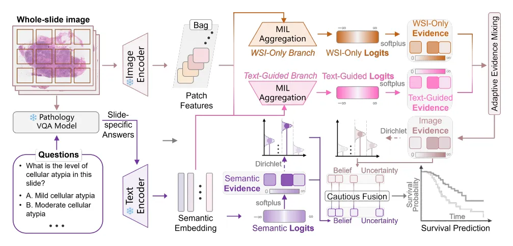 Overview of SAEFS: template-based VQA answers act as domain-invariant semantic anchors that guide whole-slide evidence extraction; visual and semantic evidence are then combined through Dirichlet-based cautious belief fusion to produce an uncertainty-aware survival prediction.